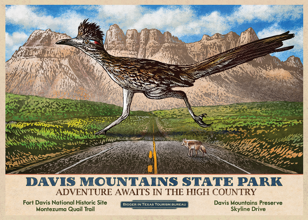 Texas Travel Postcard Set 3