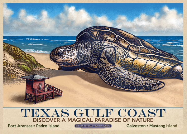 Texas Travel Postcard 2 Set