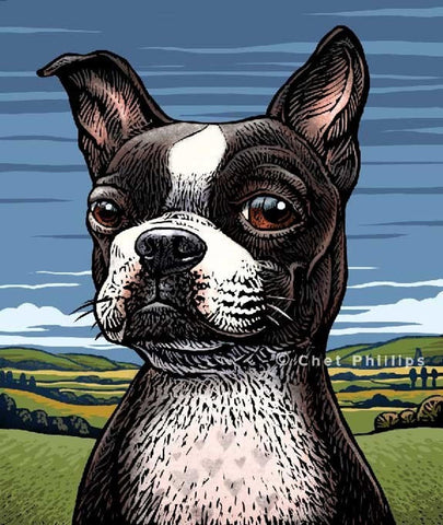 Boston Terrier 8 x 10" print