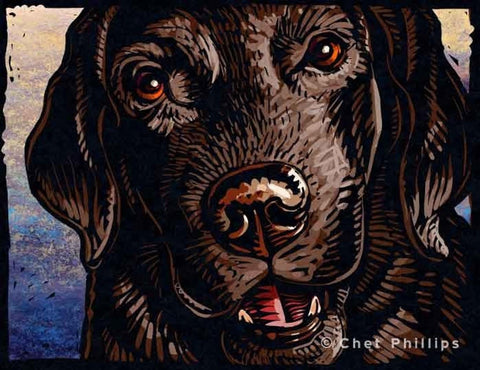 Chocolate Labrador 8 x 10" print