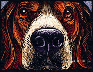 Beagle 8 x 10" print