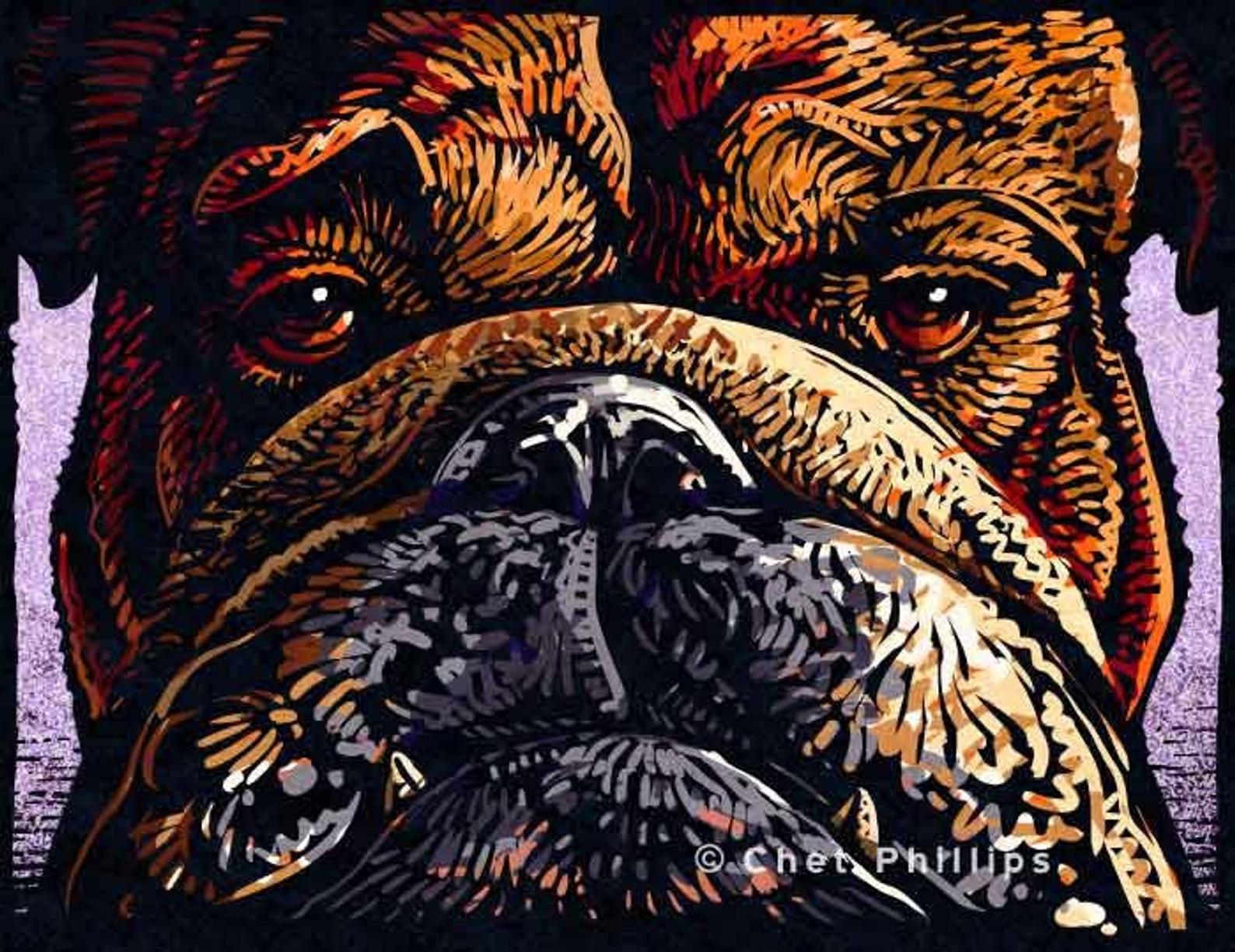 Bulldog 8 x 10" print