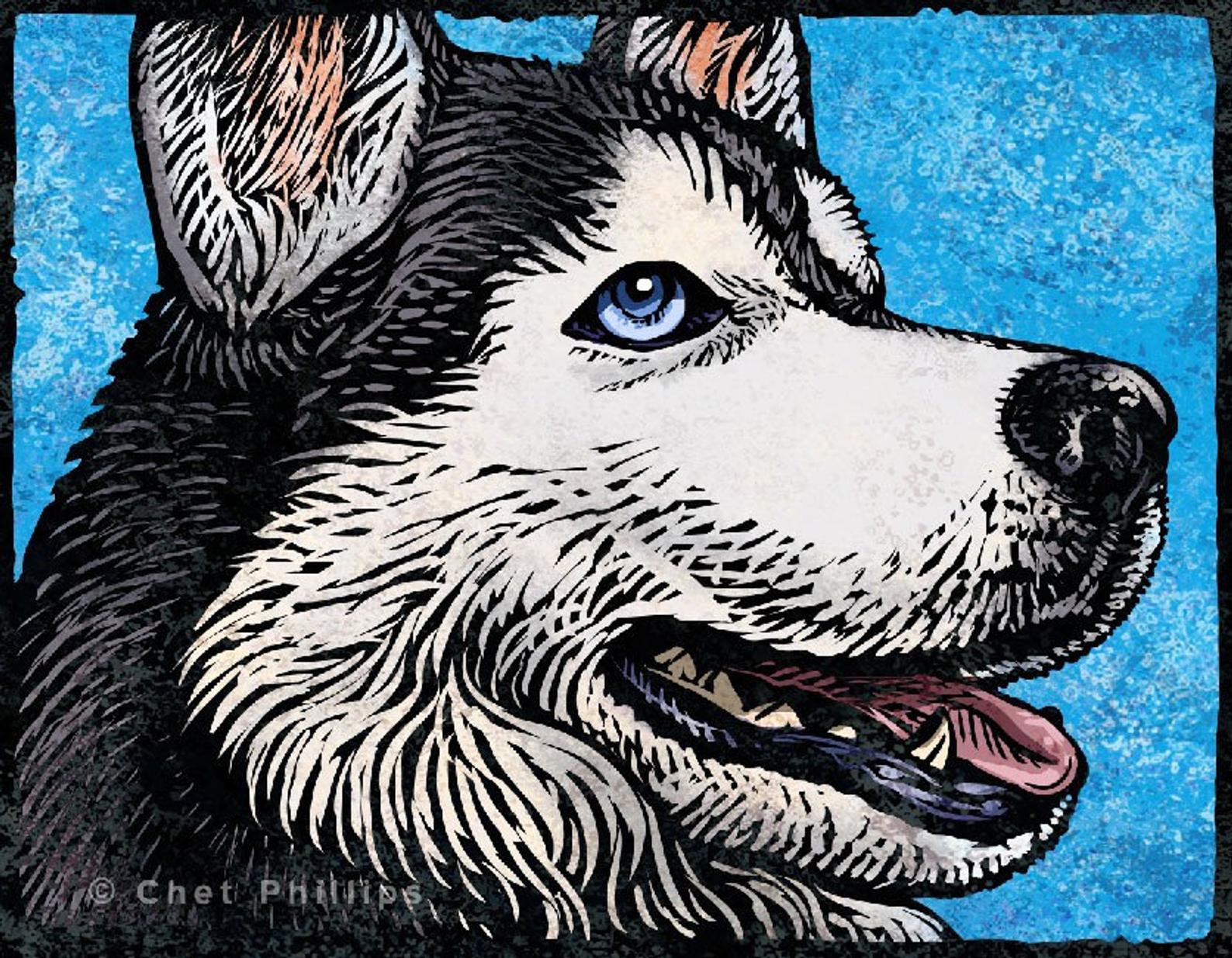 Husky Dog 8 x 10" print